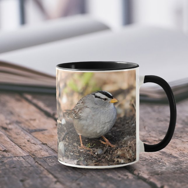 Mug Bruant à couronnes blanches dans le soleil d'hiver (Chubby White-Crowned Sparrow in the Winter Sun 11 oz Coffee Mug Cover Photo.)