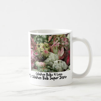 Mug BulkAssortPic, ampoules 4 de Caladium moins, votre