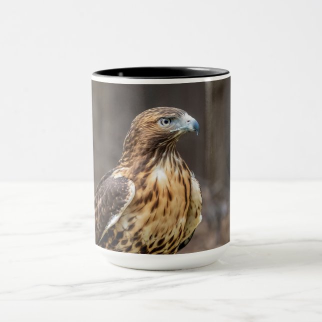 Mug Buse à queue rouge dans la vallée de l'Hudson (Centre)