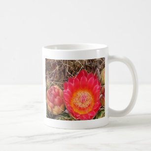 Mug Cactus Floral Photo Southwest Desert Flower