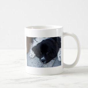 Mug Cadeaux précieux de Landseer Terre-Neuve