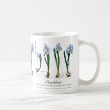 Café de Gardener
