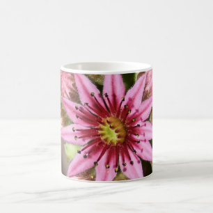 Mug Café rose Fleur Mag