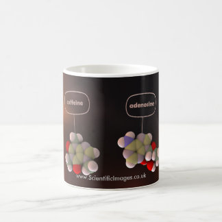 Mug Caféine et adénosine