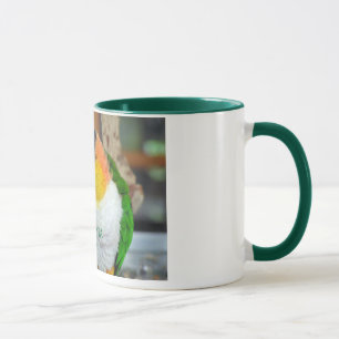 Mug Caïque fou !