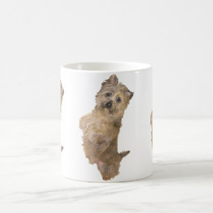 Mug Cairn Terrier debout