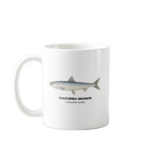 California Grunion - Animaux marins de Californie