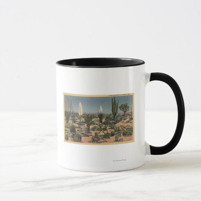 Mug CalifornieVariétés de cactus du désert (Droite)
