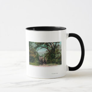 Mug Calistoga et diligence de geyser sur la route de
