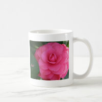 Camelia, rose, avec amour !