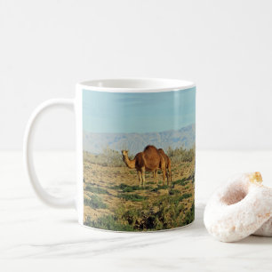 Mug Camels, Tunisie