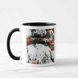 Mug Canada, Alberta, Jasper, Parc national de Jasper. 