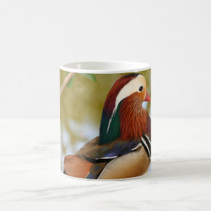 Mug Canard mandarin
