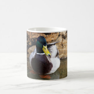 Mug Canard masculin de Mallard