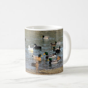 Mug Canards