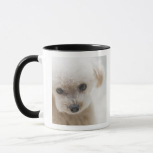 Mug caniche de jouet