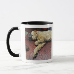 Mug Caniche standard dormant sur le plancher