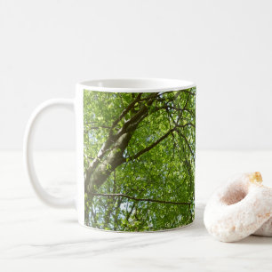 Mug Canopée du printemps Feuille Green Nature Scene
