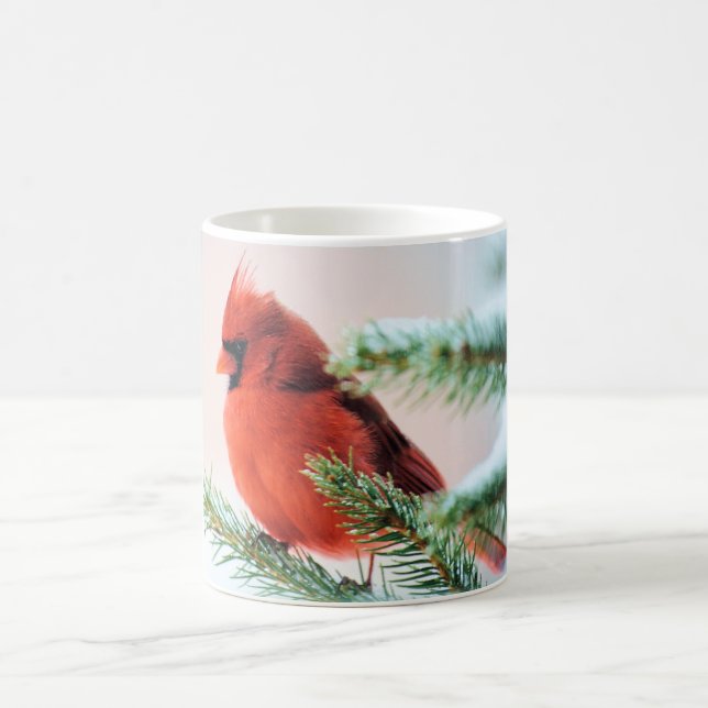 Mug Cardinal dans le sapin épousseté par neige (Centre)