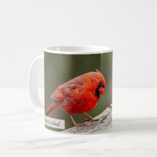Mug Cardinal du Nord Psaume 145:14 KJV