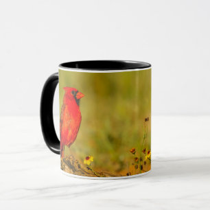Mug Cardinal mâle sur une bûche