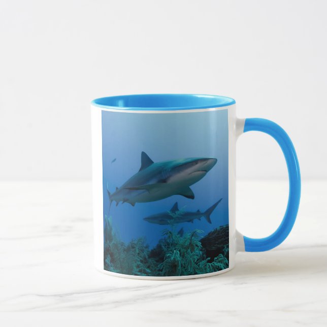Mug Caribbean Reef Shark (Droite)