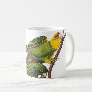 Mug Carolina Parakeet par Audubon