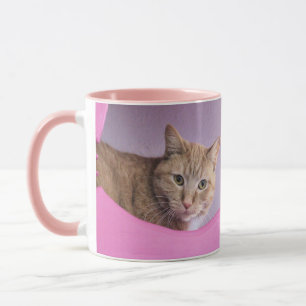 Mug Cat