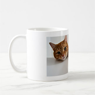 Mug Cat