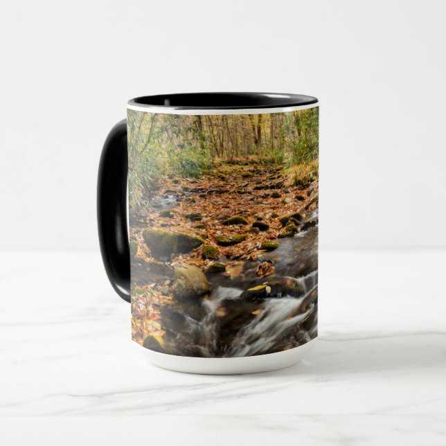 Mug Cataloochee Creek NC Great Smoky Mountains (Devant gauche)