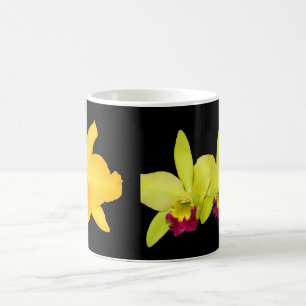 MUG, Cattyleyas, two varieties Magic Mug