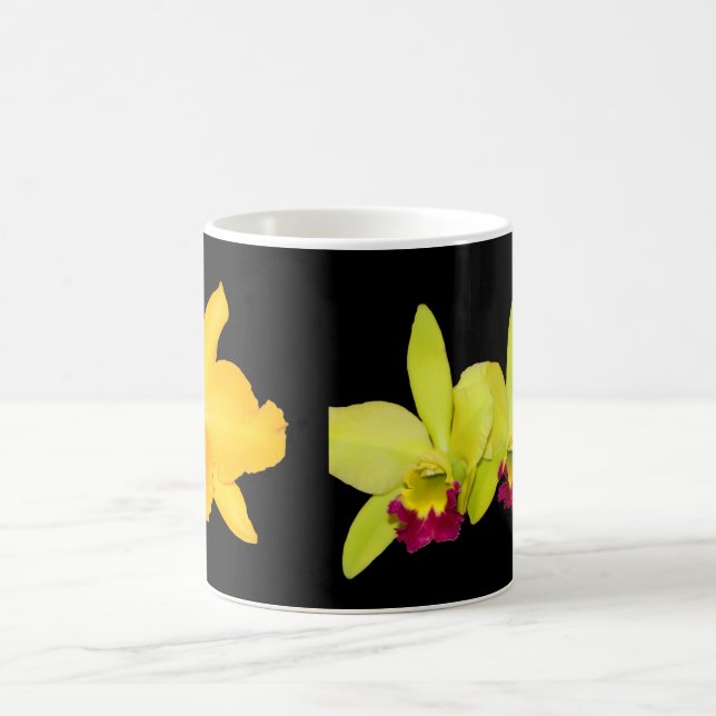 MUG, Cattyleyas, two varieties Magic Mug (Center)