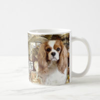 Cavalier King Charles Spaniel