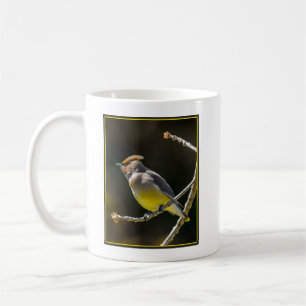 Mug Cèdre cire Songbird Photo originale Oiseau sauvage