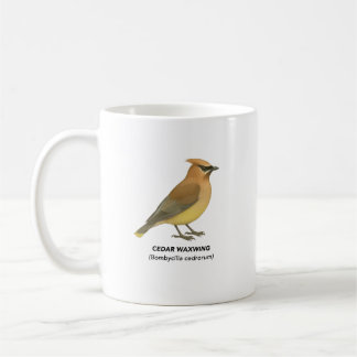 Mug Cèdre - Oiseaux de Californie