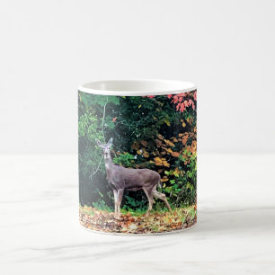 Mug Cerf dans la forêt, Oregon