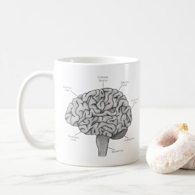 Mug Cerveau Scientifique (Avec donut)
