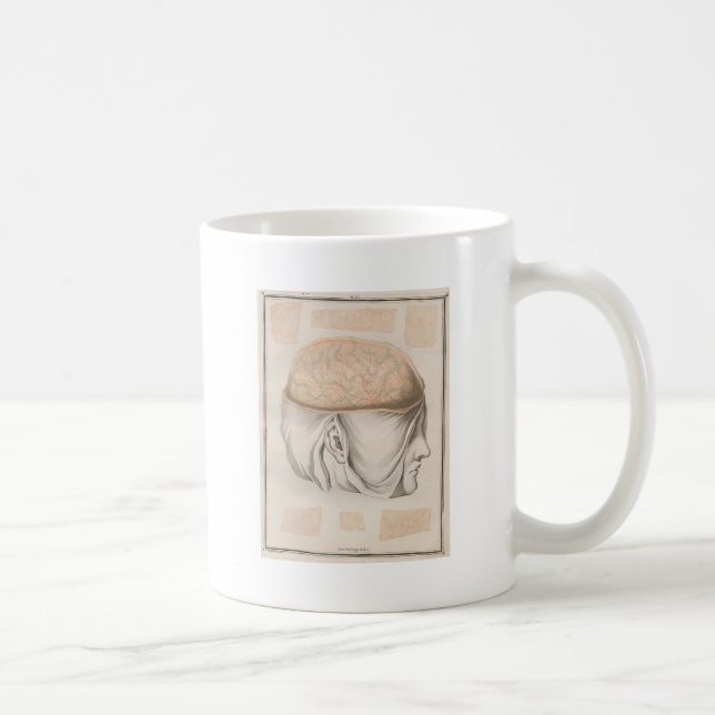 Mug Cerveau un - Neuroanatomie (Droite)