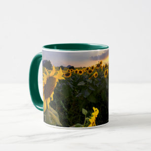 Mug Champ des tournesols de floraison