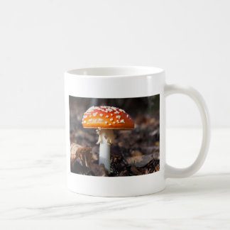 Mug Champignon magique
