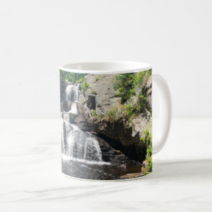 Mug Chapman Falls