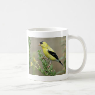 Mug Chardonneret
