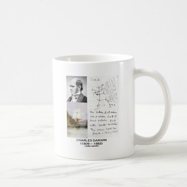 Mug Charles Darwin (beagle Phylogenetics de voie HMP (Droite)