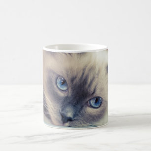 Mug Chat 
