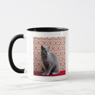 Mug Chat (bleu russe) et arrière - plan de papier