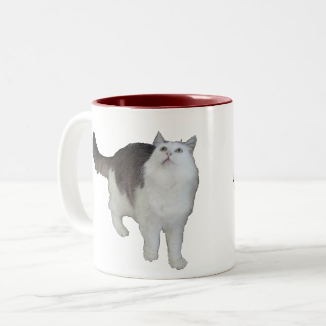 Mug - Chat concerné (Devant gauche)