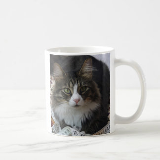 Mug Chat de boa