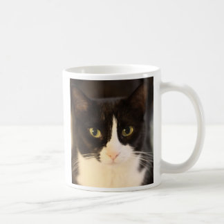 Mug Chat de Fritzie