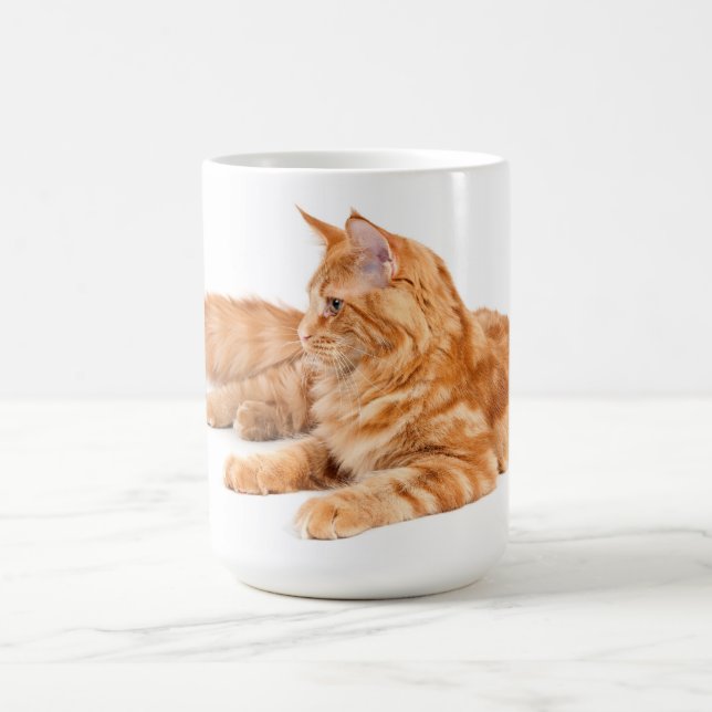 Mug Chat de ragondin du Maine (Centre)