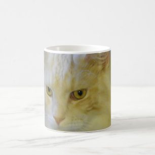Mug Chat de ragondin du Maine d'animal familier de